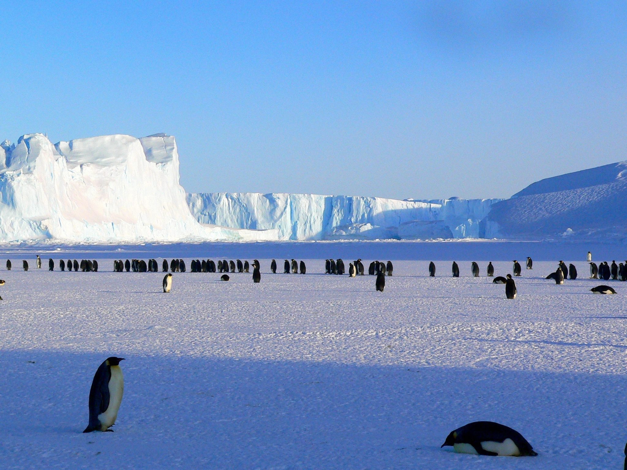 Why you should travel to Antarctica