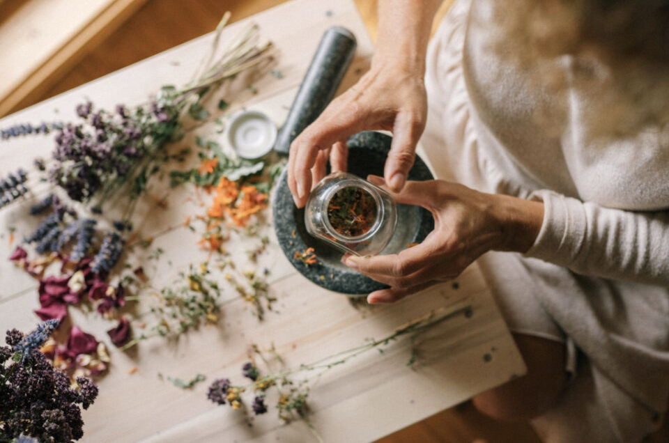 7 Top Herbs to Have in your House for Wellness and Health